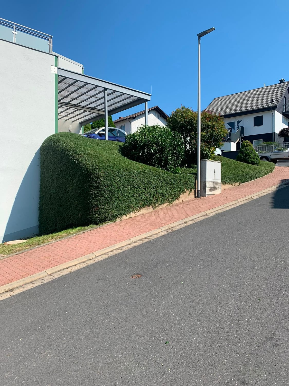 Straßenseitige Hecke nach dem Formschnitt an einem Hanggrundstück im Leidersbacher Tal
