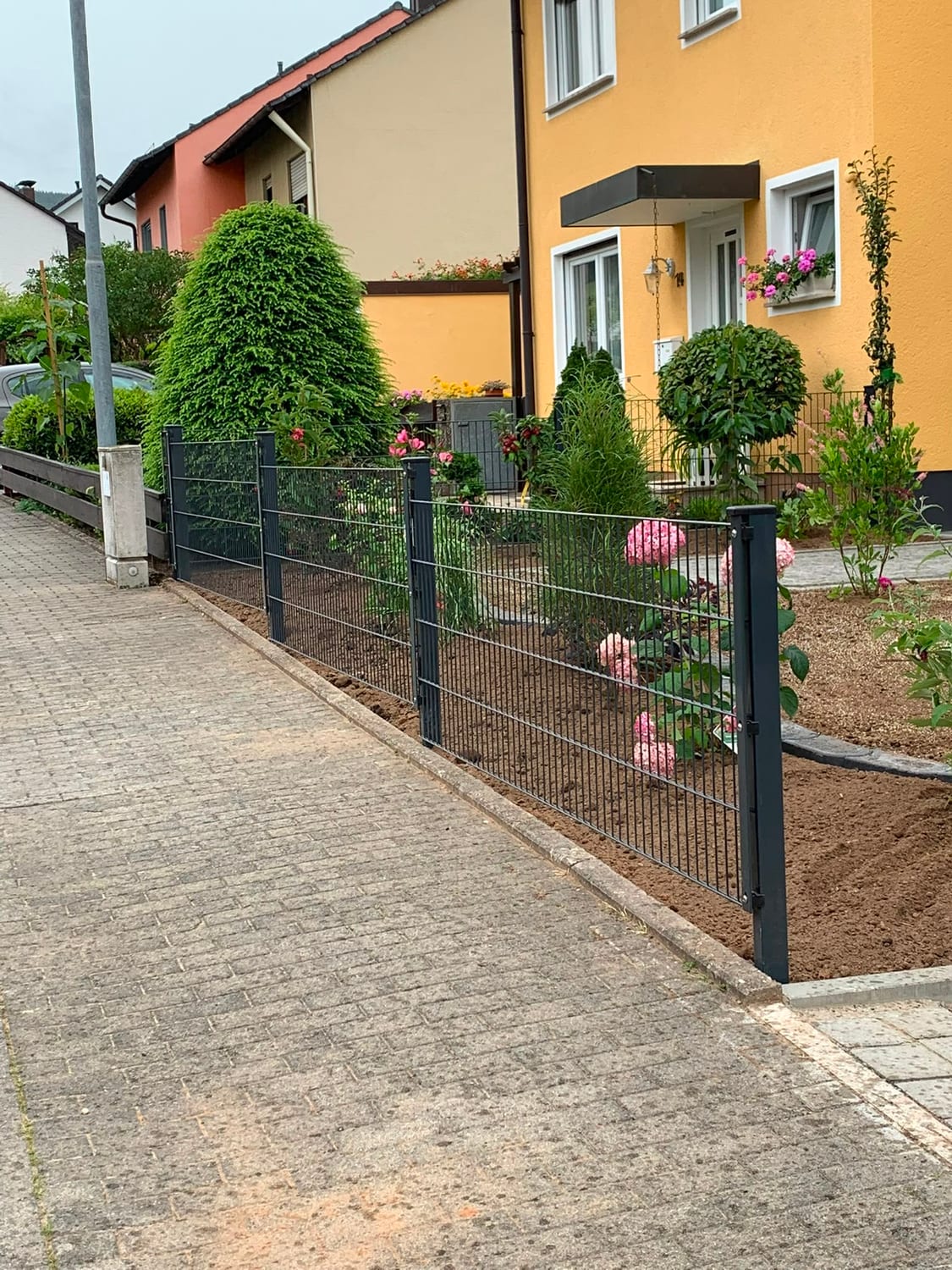 Neu gesetzter Doppelstabmattenzaun mit Tor und frischer Bepflanzung